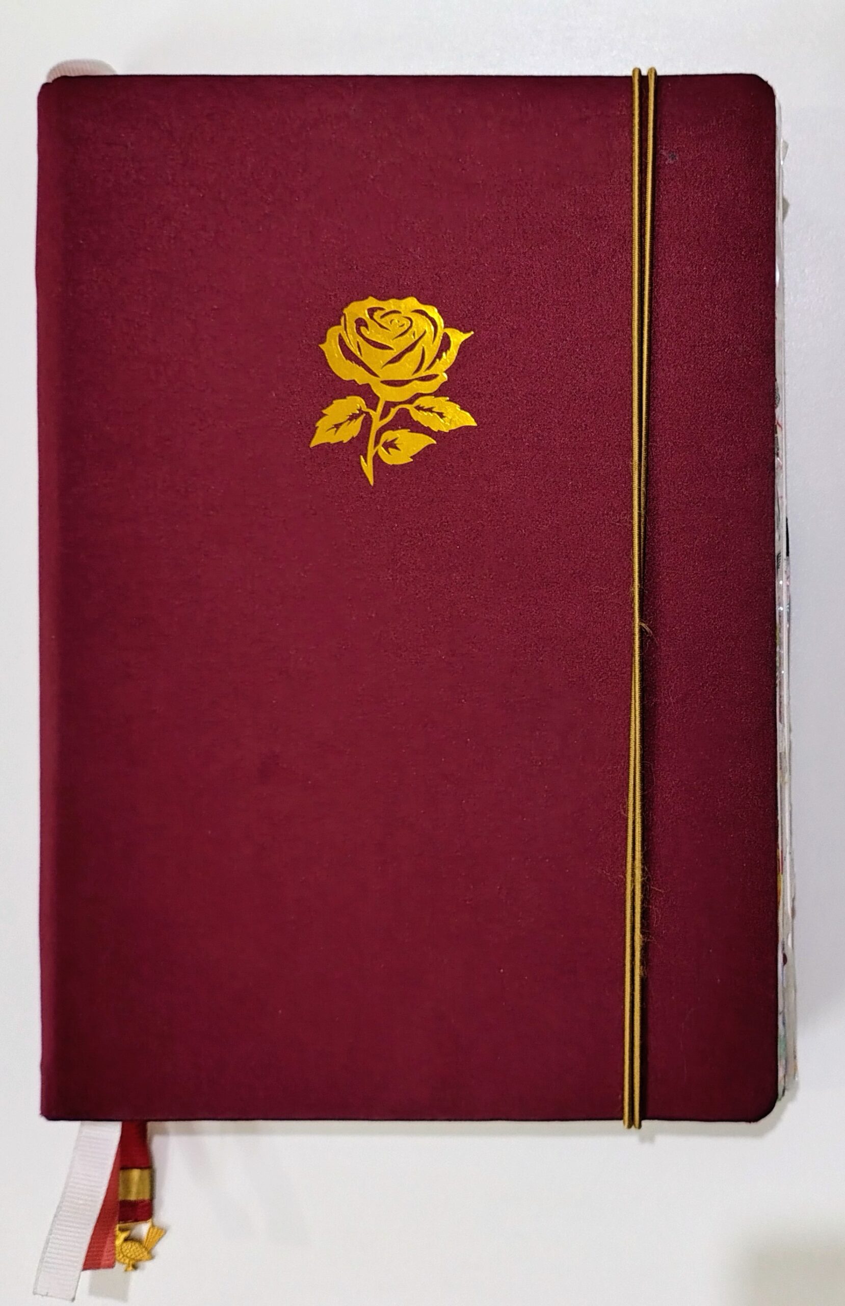 Home B5 size, 120 gsm, 200 pages, satin cloth coverered, hand-made, decorated journal.